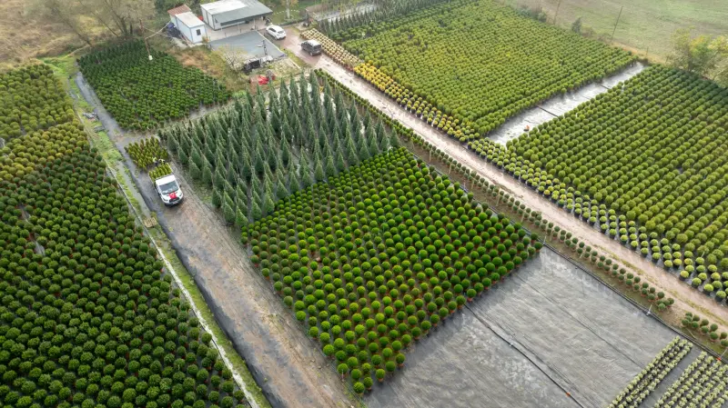 徐州薯格信息科技分销裂变工具软件应用方案详解