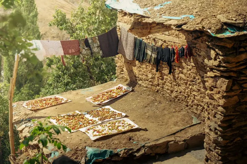 小程序商城软件光盘与拼团工具的技术融合路径分析
