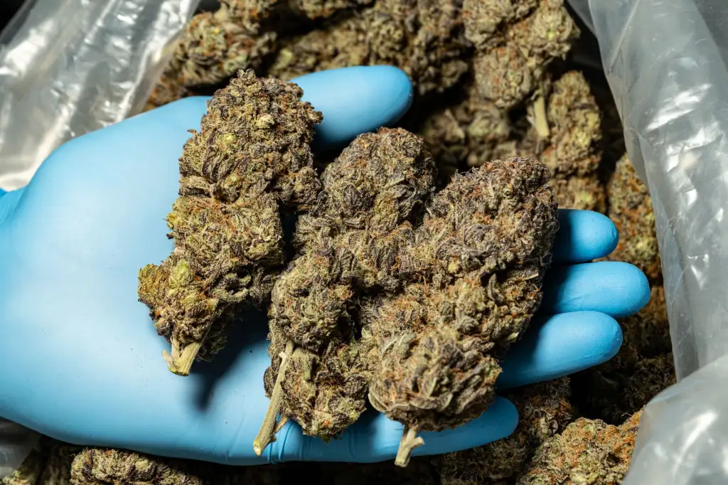 徐州中小企业小程序商城软件光盘选型：拼团砍价功能的技术实现对比