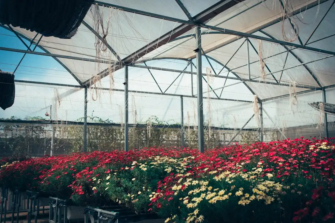 小程序商城软件光盘与拼团工具在苏北地区的应用趋势分析