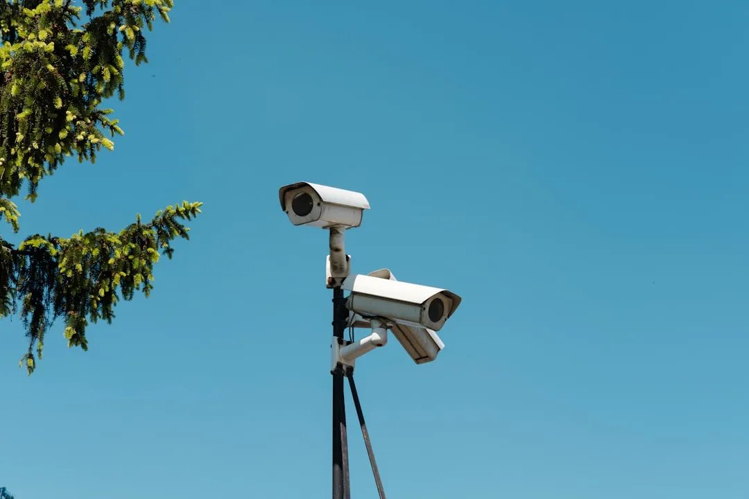 徐州中小企业小程序商城软件光盘选型指南：拼团与砍价功能对比解析