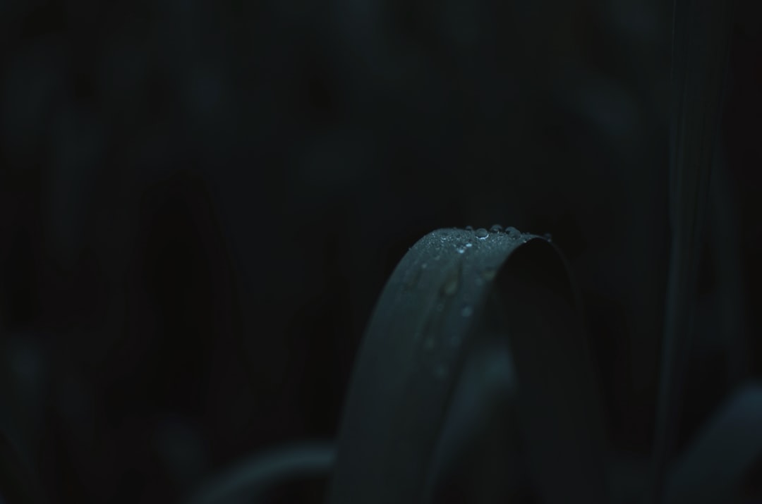 薯格信息科技砍价软件与分销系统在中小企业的应用实践